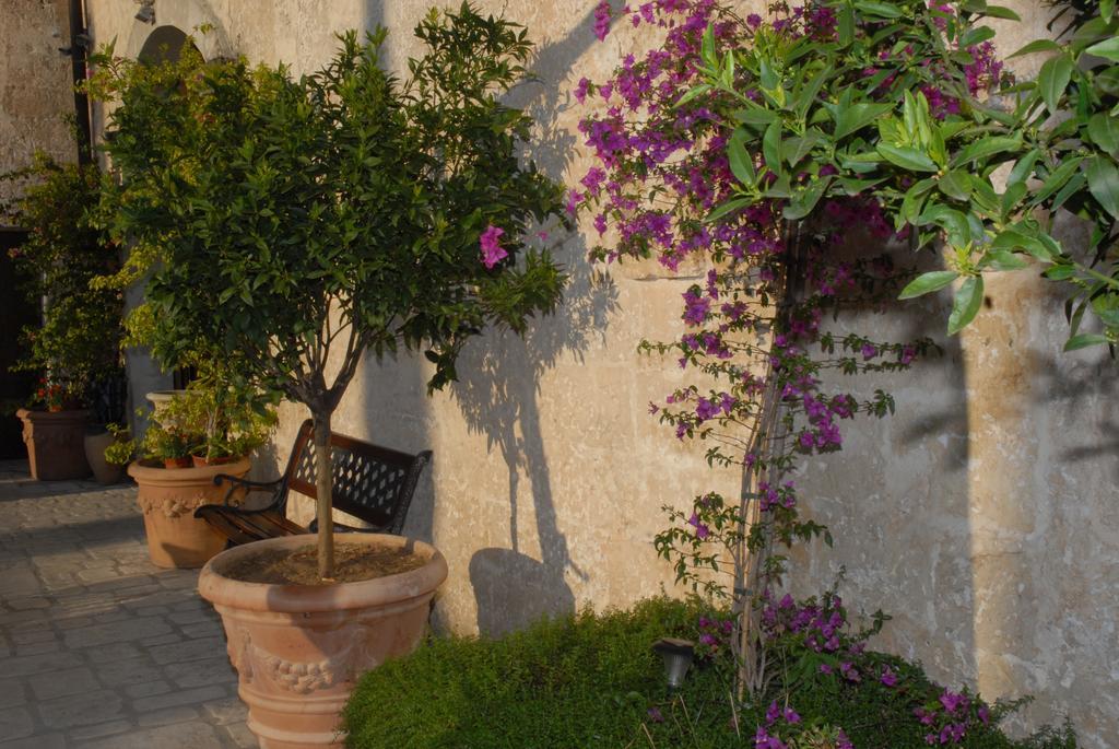 Castello Conti Filo Bed & Breakfast Torre Santa Susanna Eksteriør bilde